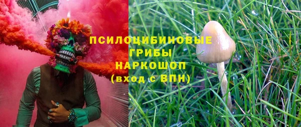 a pvp Абинск