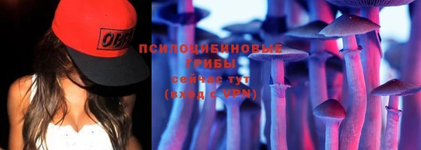 a pvp Абинск