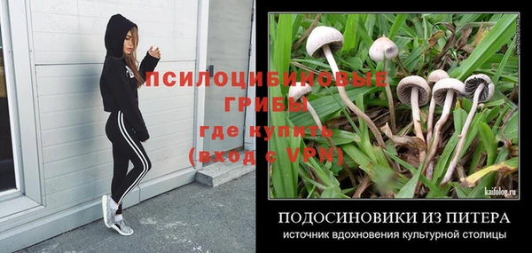 тгк Саяногорск